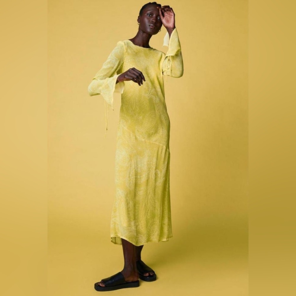 H&M Chiffon Long Sleeve Dress BNWOT